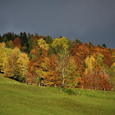 Ferienhaus Brittenberg Schwarzenberg im Bregenzerwald Exterior foto
