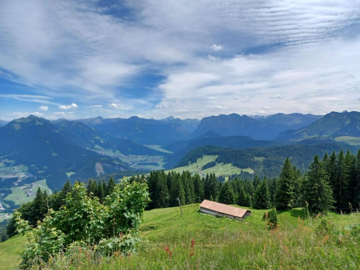 Ferienhaus Brittenberg Schwarzenberg im Bregenzerwald Exterior foto